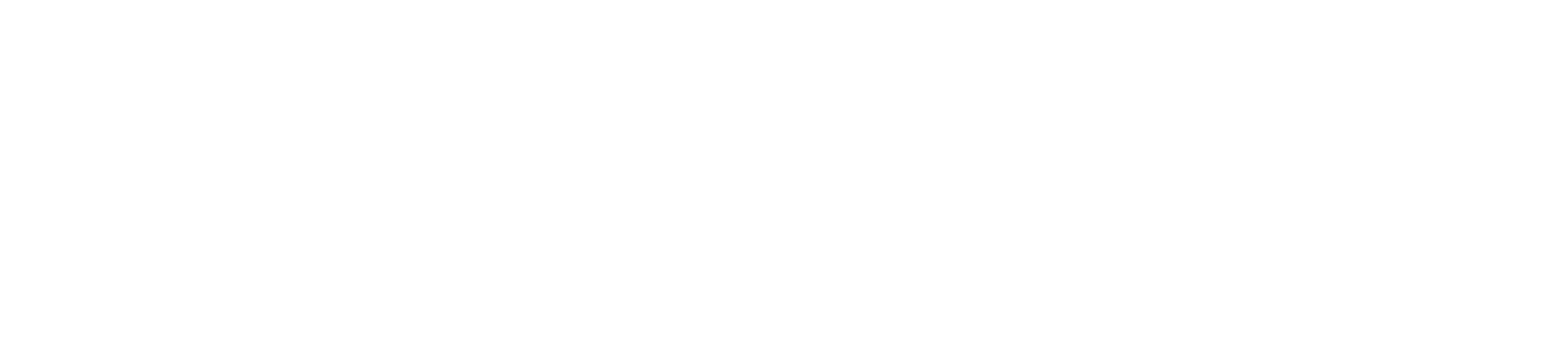 Academy of coaching 5 Prism